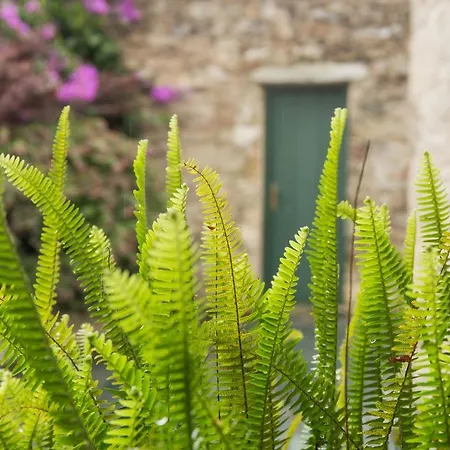 Valedoso Vakantiehuis