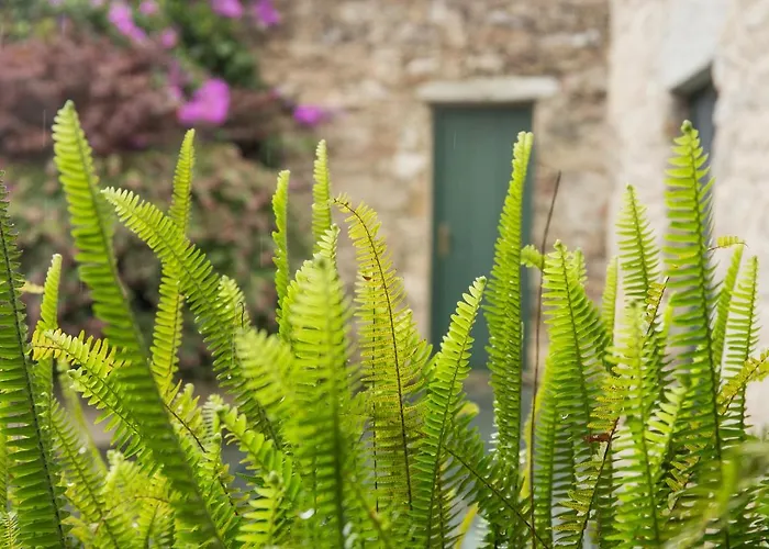 Valedoso Casa vacanze